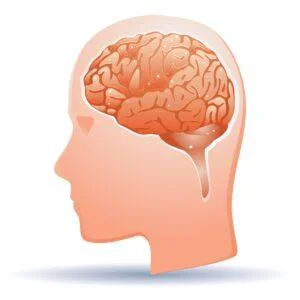 RTMS 1 Transcranial magnetic stimulation